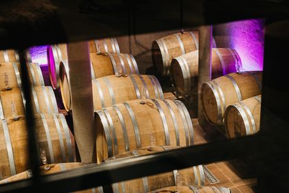 Holzfässer im Fasskeller in violettem Licht