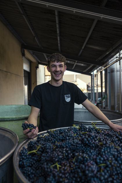 Winzer bei der Traubenannahme im Weingut